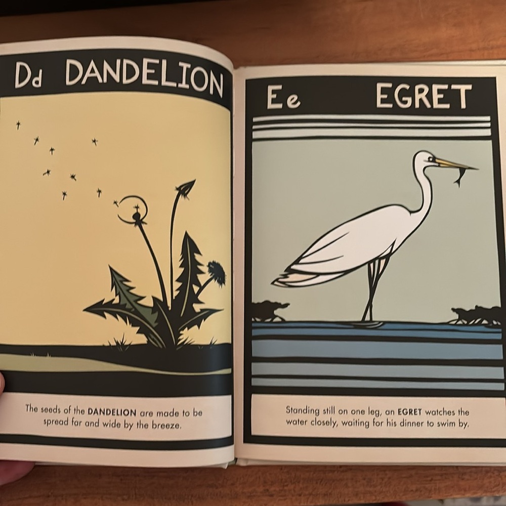 B is for Bear by Hannah Viano alphabet book PNW - Picture 5 of 8